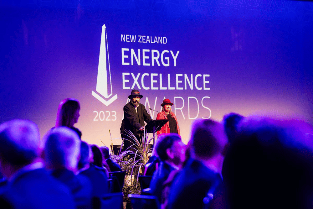 energy awards nz 3